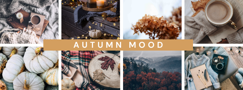 Fall into Fashion: Cozy Styles, Cool Prices at Tia B Boutique