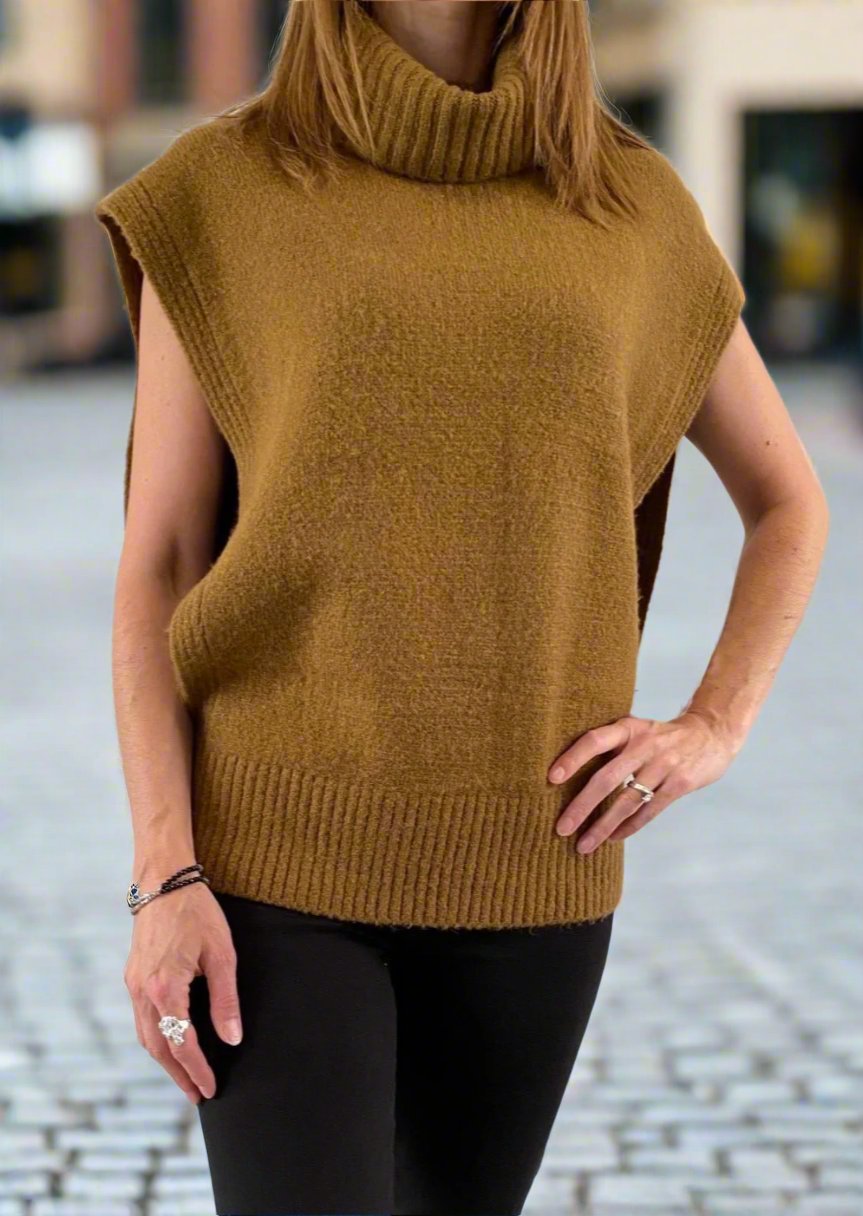 WINTER WISH SWEATER VEST